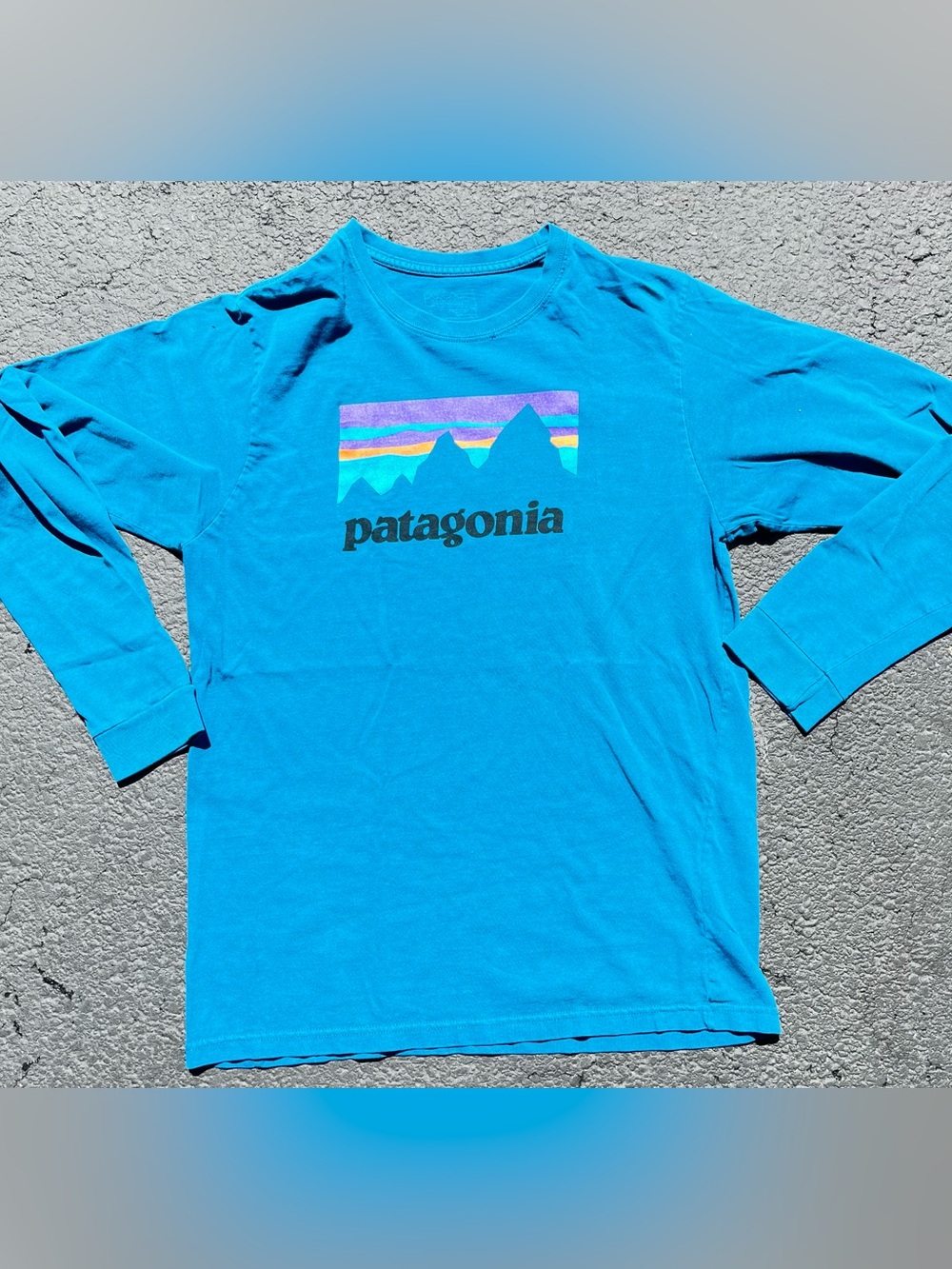 Patagonia Men S T-Shirt Crew Neck Long Sleeve Blue Logo Outdoor Hiking Mountains